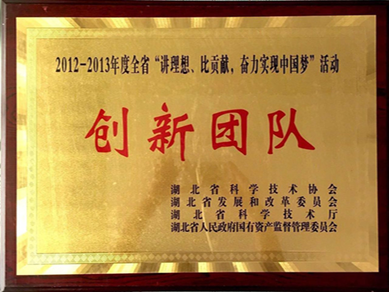 湖北省2012-2013年度“講理想，比貢獻(xiàn)”創(chuàng)新團(tuán)隊(duì).jpg